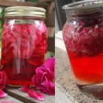 Sirup od ruže liječi mnoge bolesti, spasio milione života .. Sirup od ruže liječi mnoge bolesti, spasio milione života ..