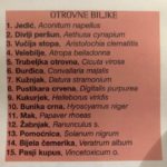 OTROVNE BILJKE OTROVNE BILJKE