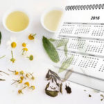 KALENDAR LJEKOVITOG BILJA: Kada se koje biljke beru… KALENDAR LJEKOVITOG BILJA: Kada se koje biljke beru…