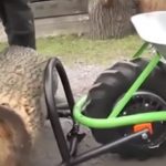 10 inovacija koje OLAKŠAVAJU svakodnevni život! 10 inovacija koje OLAKŠAVAJU svakodnevni život!