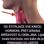 OD ŠTITNJAČE SVE KREĆE, HORMONI, PRETJERANA MRŠAVOST ILI DEBLJINA: Lijek Imate Kod Kuće, Evo Kako Da Je PRIRODNO IZLIJEČITE OD ŠTITNJAČE SVE KREĆE, HORMONI, PRETJERANA MRŠAVOST ILI DEBLJINA: Lijek Imate Kod Kuće, Evo Kako Da Je PRIRODNO IZLIJEČITE