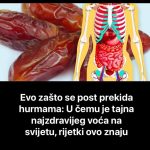 RIJETKI OVO ZNAJU – EVO ZAŠTO SE POST PREKIDA HURMAMA: U Čemu Je Tajna Ovog Najzdravijeg Voća Na Svijetu RIJETKI OVO ZNAJU – EVO ZAŠTO SE POST PREKIDA HURMAMA: U Čemu Je Tajna Ovog Najzdravijeg Voća Na Svijetu