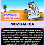 MOZGALICA: Slij3p Muškarac Izgublj3n U Pustinji MOZGALICA: Slij3p Muškarac Izgublj3n U Pustinji