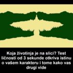 Koja Životinja Je Na Slici? Test Ličnosti Od 3 Sekunde Otkriva Istinu O Vašem Karakteru I Tome Kako Vas Drugi Vide Koja Životinja Je Na Slici? Test Ličnosti Od 3 Sekunde Otkriva Istinu O Vašem Karakteru I Tome Kako Vas Drugi Vide