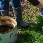 RAKETNO GORIVO ZA RAST SVIH BILJAKA – OVO JE NAJBOLJE ORGANSKO TEČNO ĐUBRIVO: Napravite Ga Sami, EVO ŠTA VAM TREBA RAKETNO GORIVO ZA RAST SVIH BILJAKA – OVO JE NAJBOLJE ORGANSKO TEČNO ĐUBRIVO: Napravite Ga Sami, EVO ŠTA VAM TREBA
