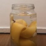 Stavila je koru od BANANE u vodu – evo šta se dogodilo nakon samo 24h: Ovo ćete koristiti SVAKI DAN! Stavila je koru od BANANE u vodu – evo šta se dogodilo nakon samo 24h: Ovo ćete koristiti SVAKI DAN!