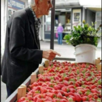 Priča:Starac i jagode Priča:Starac i jagode