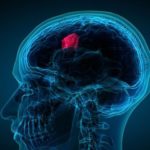 TUMOR NA MOZGU: 7 simptoma koje je vrlo važno prepoznati na vrijeme TUMOR NA MOZGU: 7 simptoma koje je vrlo važno prepoznati na vrijeme