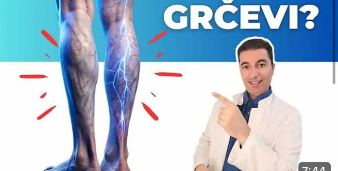 GRČEVI U MIŠIĆIMA